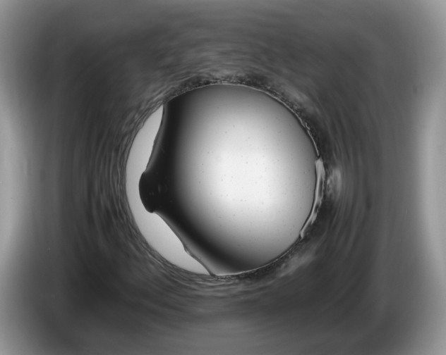 X0000086281156200704122042