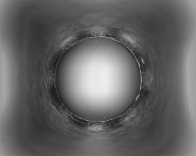 X0000086281157200704122042