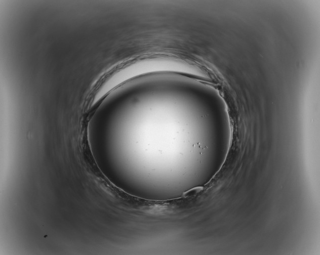 X0000086281160200704122042