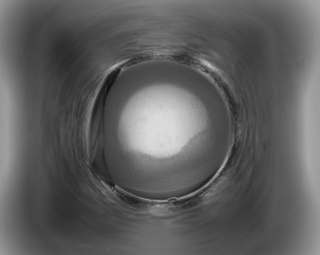 X0000086281161200704122042