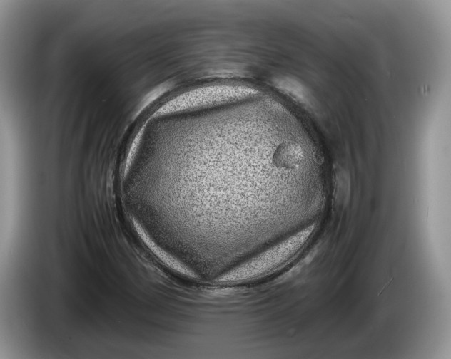 X0000086281162200704122042