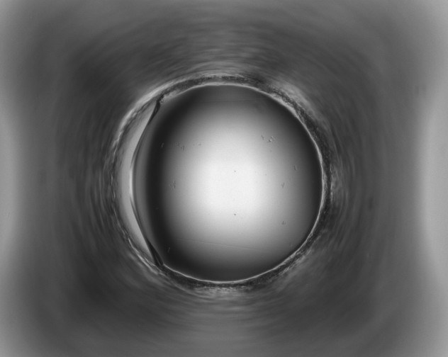 X0000086281164200704122042