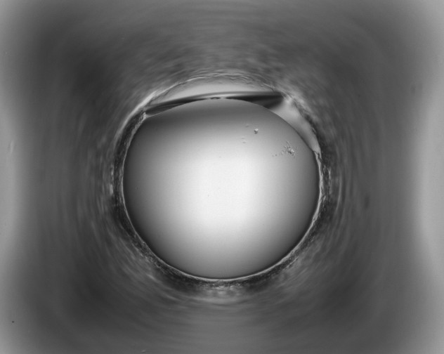 X0000086281165200704122042