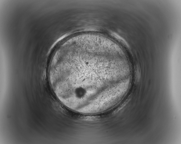 X0000086281166200704122042