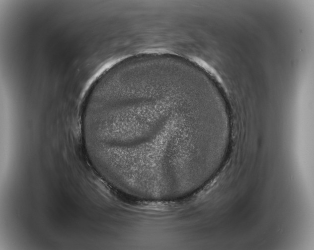 X0000086281167200704122042