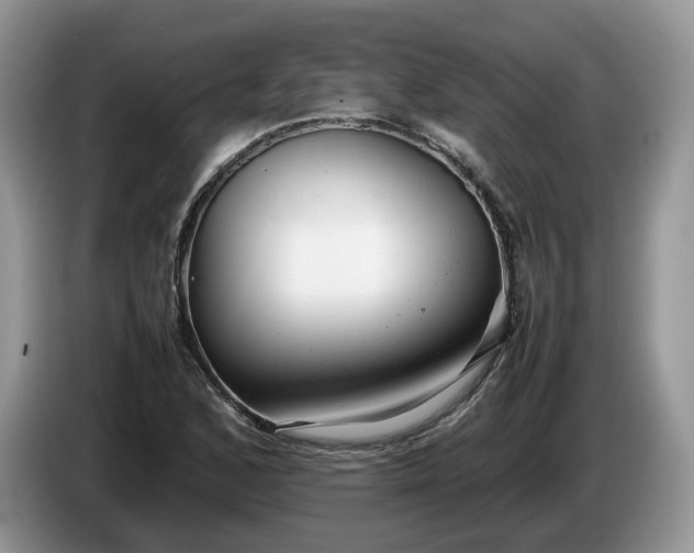 X0000086281168200704122042