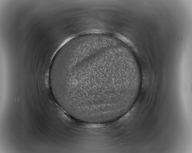 X0000086281170200704122042