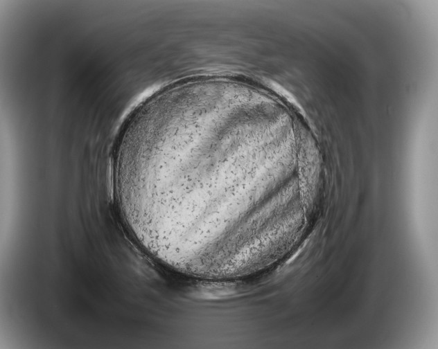 X0000086281171200704122042