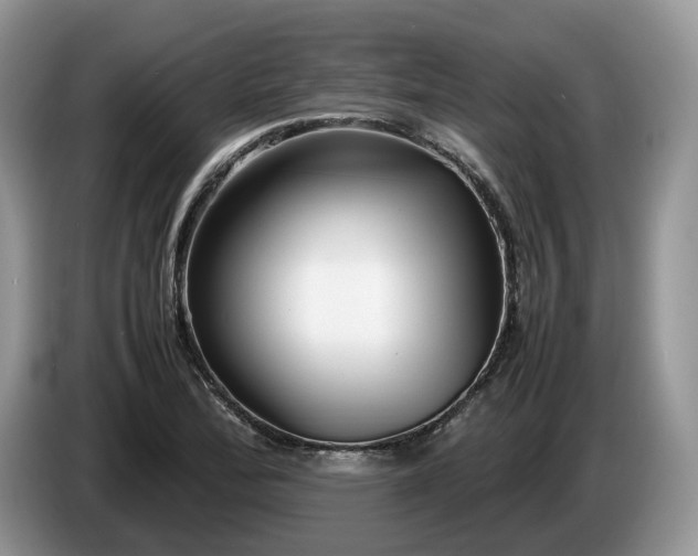 X0000086281172200704122042