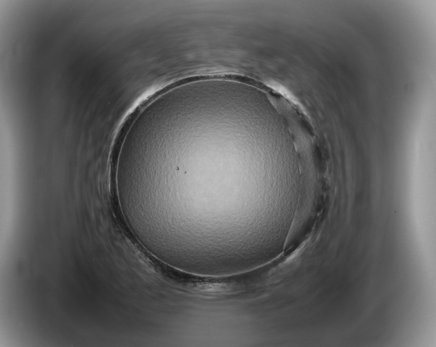 X0000086281173200704122042