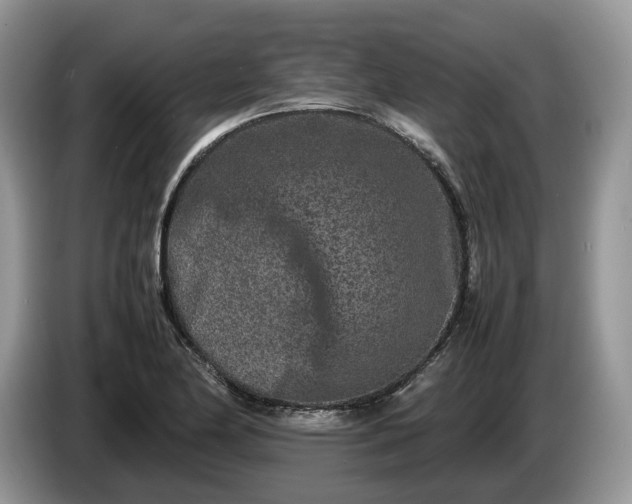 X0000086281174200704122042