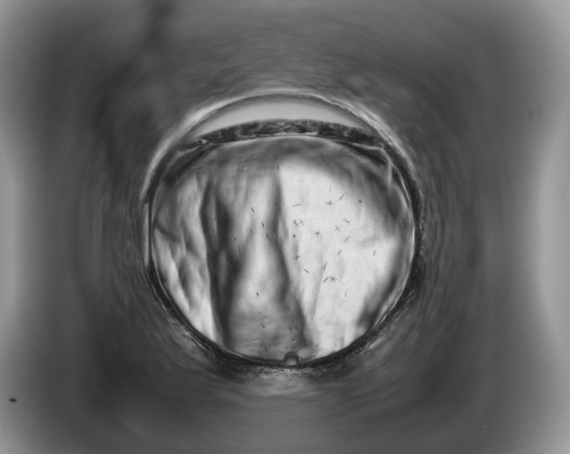 X0000086281175200704122042