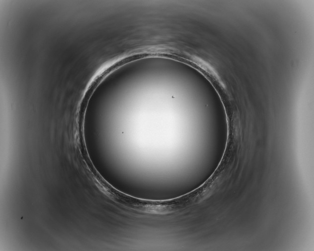 X0000086281176200704122042