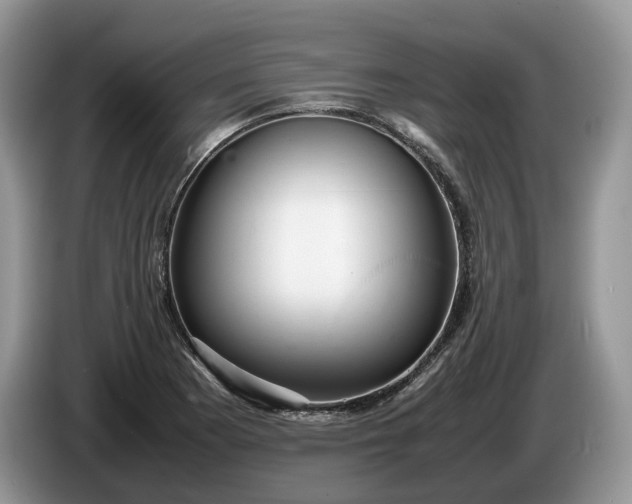 X0000086281177200704122042