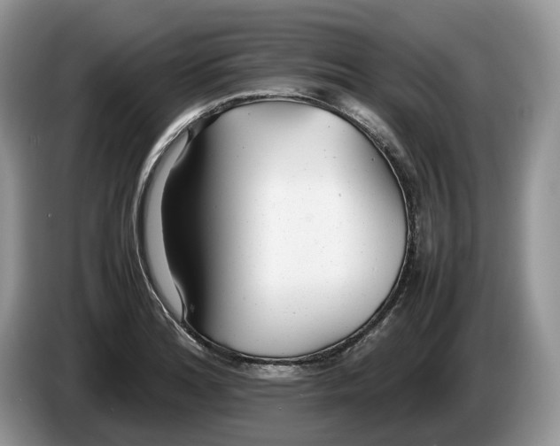 X0000086281180200704122042