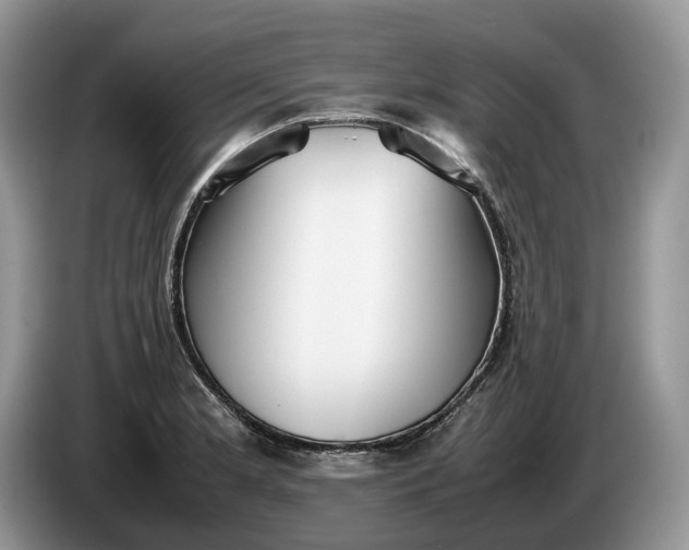 X0000086281181200704122042