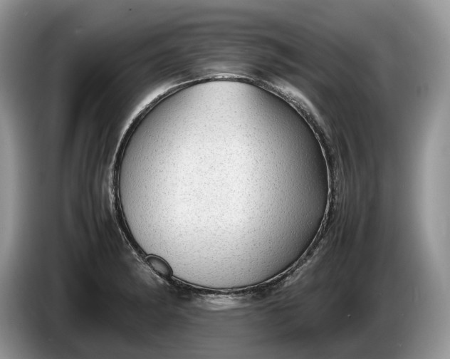 X0000086281182200704122042