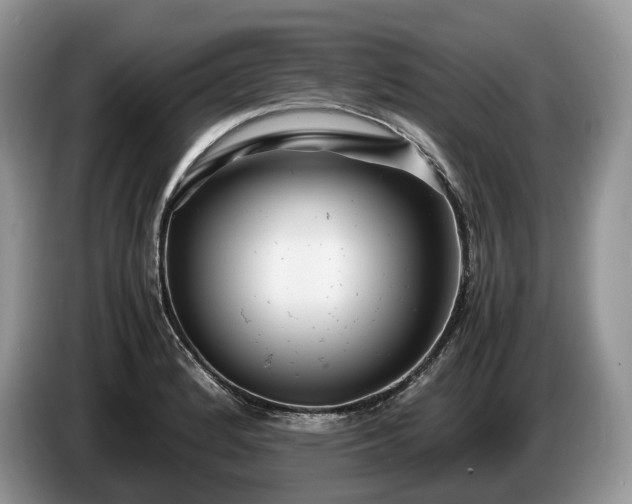 X0000086281184200704122042