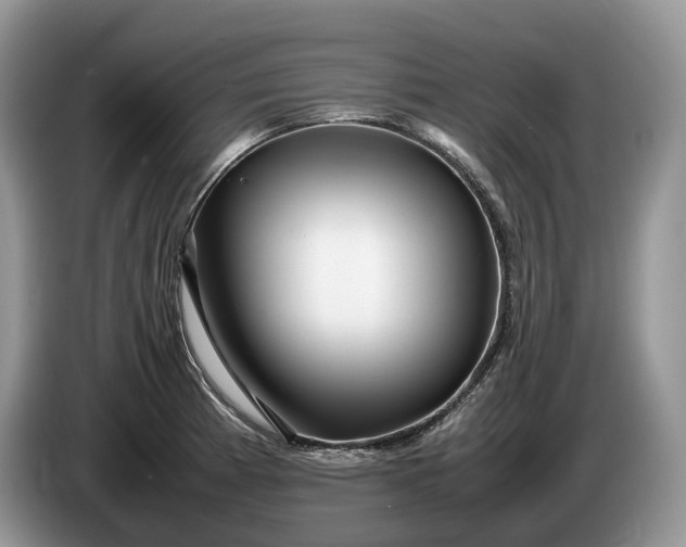 X0000086281185200704122042