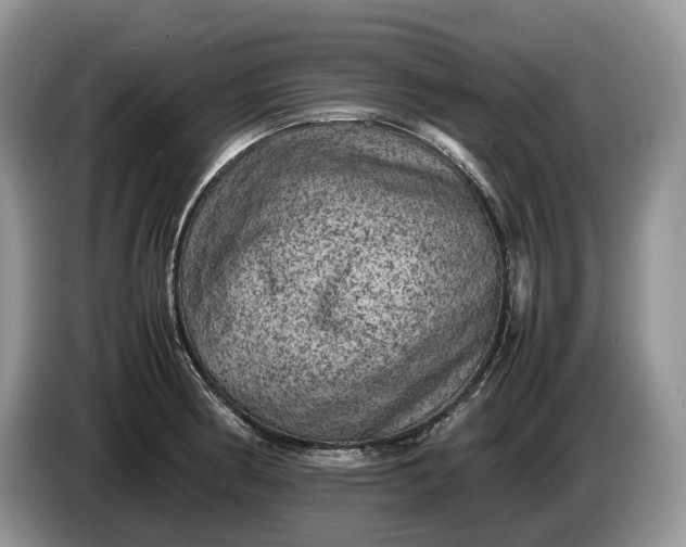 X0000086281186200704122042