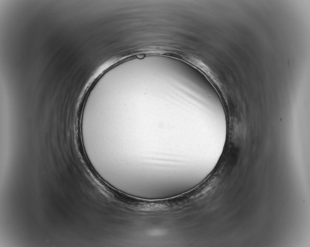 X0000086281187200704122042