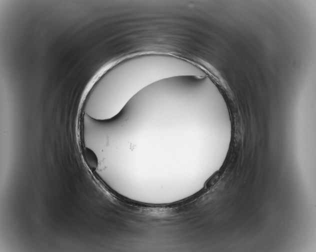 X0000086281188200704122042