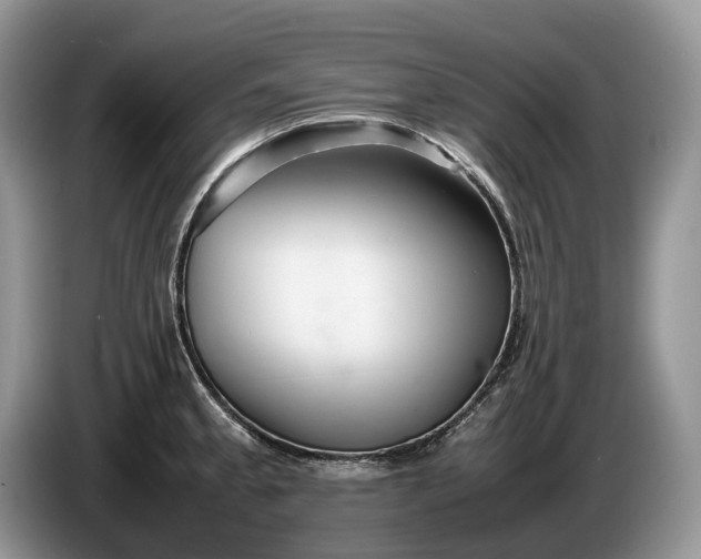 X0000086281189200704122042