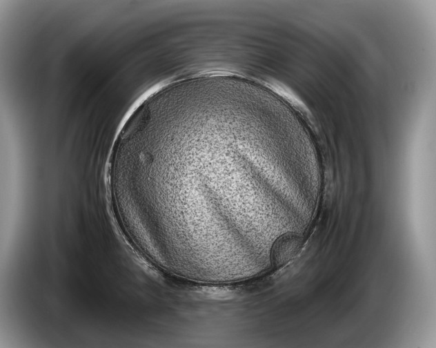 X0000086281190200704122042