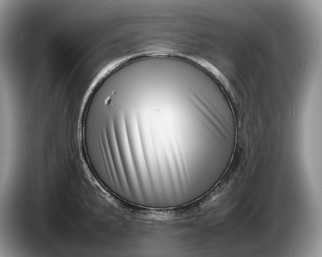 X0000086281191200704122042