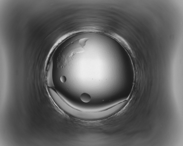 X0000086281192200704122042