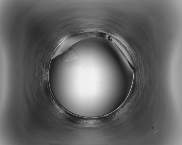 X0000086281193200704122042