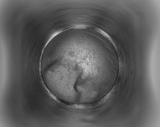 X0000086281194200704122042