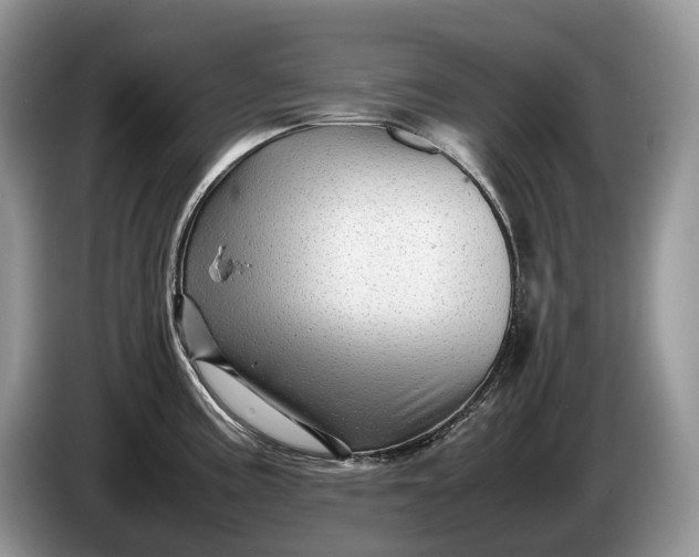 X0000086281195200704122042