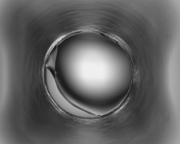 X0000086281196200704122042