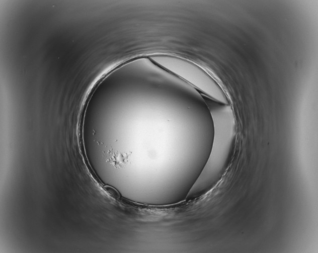 X0000086281197200704122042