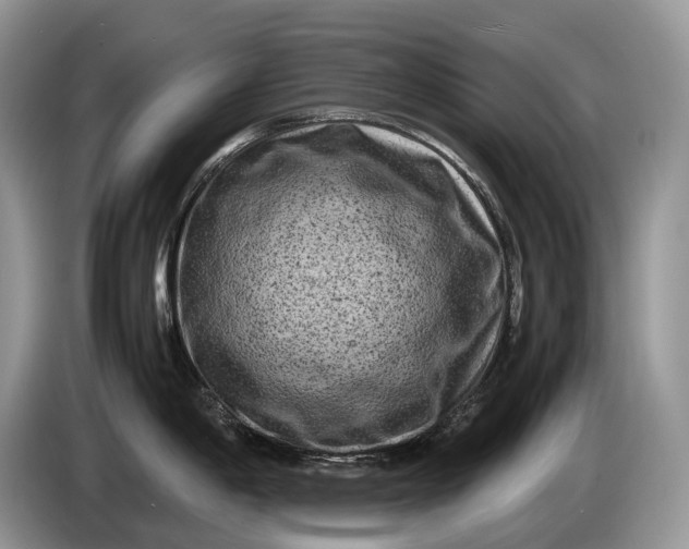 X0000086281198200704122042