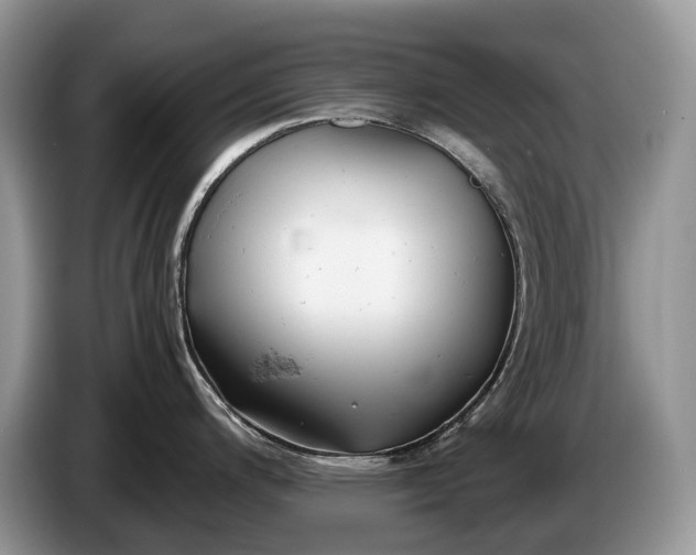 X0000086281200200704122041