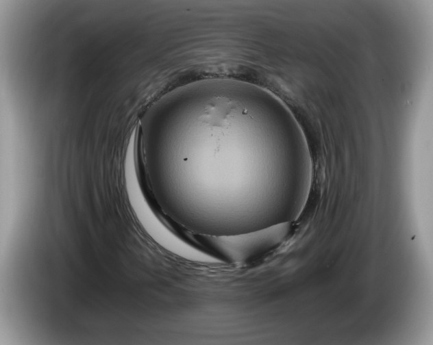 X0000086281202200704122041