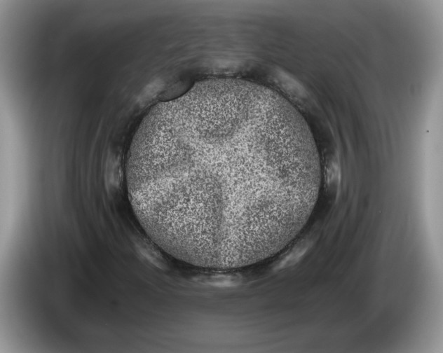 X0000086281204200704122041