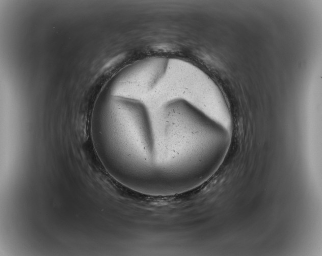 X0000086281205200704122041