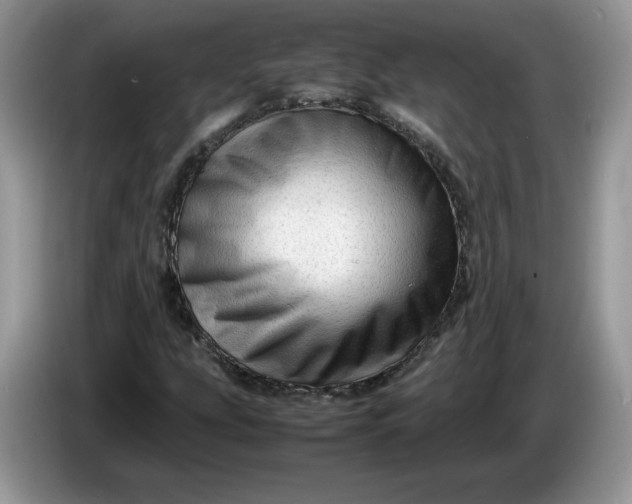 X0000086281207200704122041