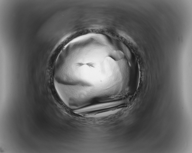 X0000086281208200704122041