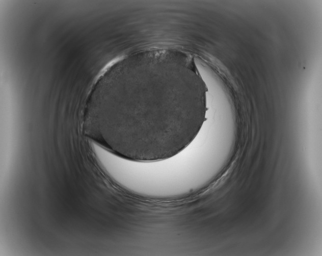 X0000086281210200704122041