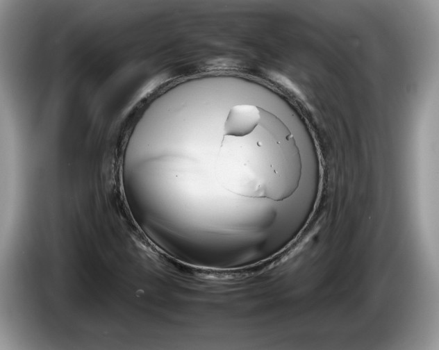 X0000086281211200704122041