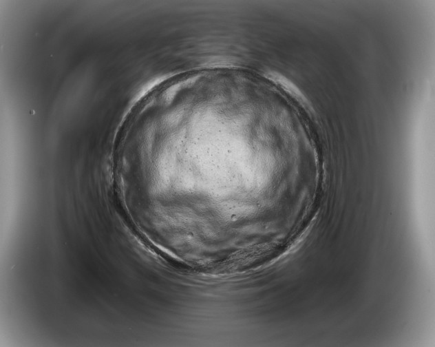 X0000086281212200704122041