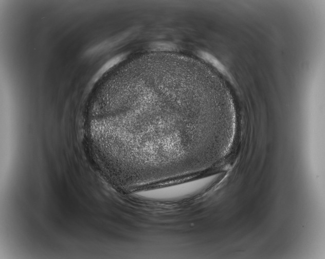 X0000086281213200704122041