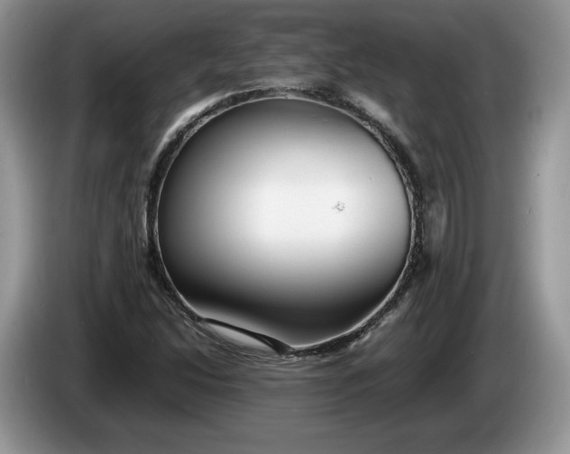 X0000086281214200704122041