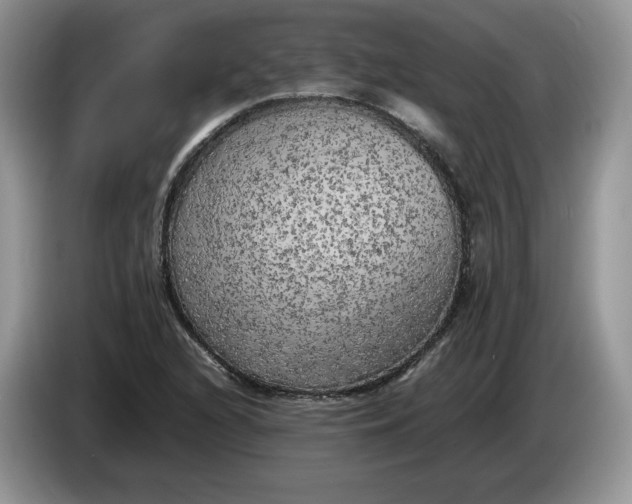 X0000086281216200704122041