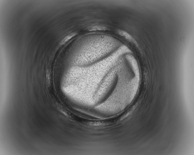 X0000086281217200704122041