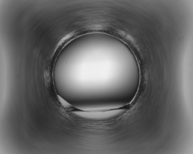 X0000086281218200704122041